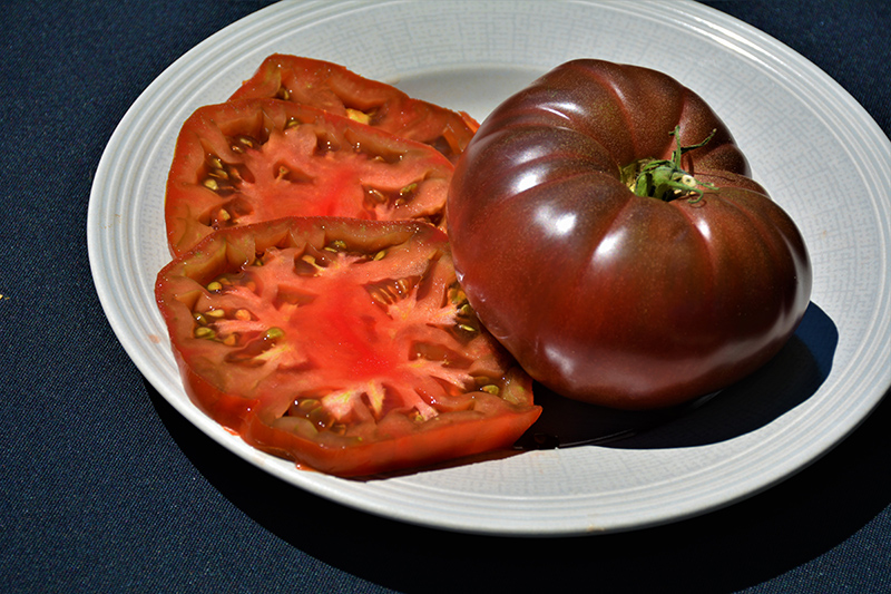 Cherokee Purple Tomato (Solanum lycopersicum 'Cherokee Purple') at Studley's